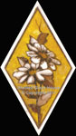 Stained Glass Paintings (thumbnail)