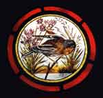 Stained Glass Bird Painting (thumbnail)